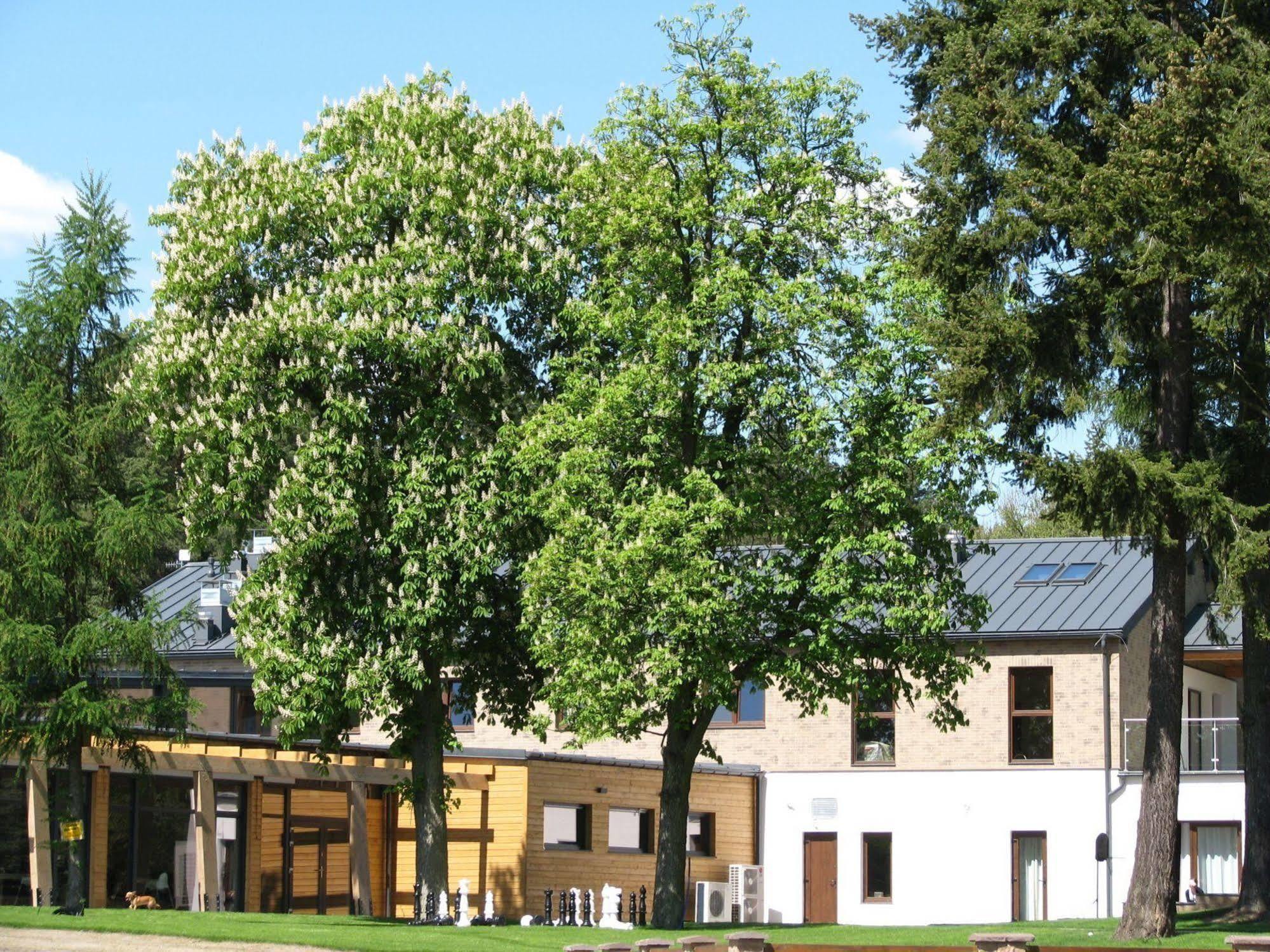 Rezydencja Nad Jeziorem Pestkownica Exterior foto